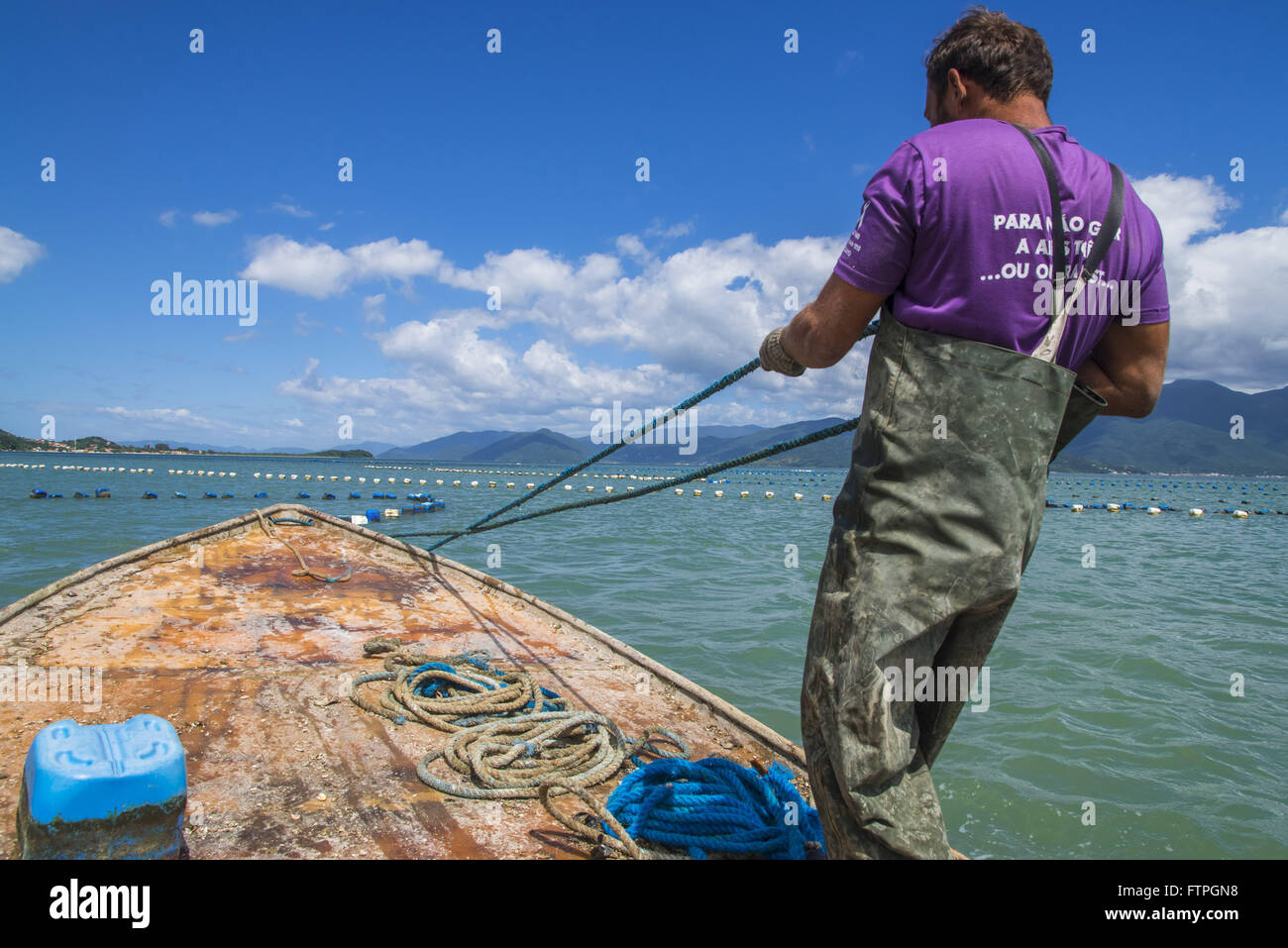 Arbeiter, die Laternen marine Bauernhof - verwendet in den Anbau von Austern und Muscheln sammeln Stockfoto