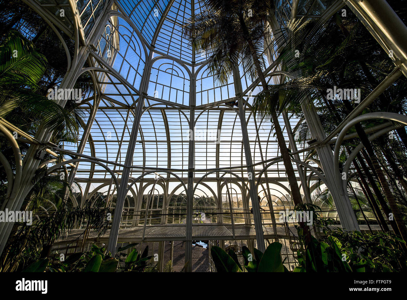 Innenansicht des Gewächshaus Botanischer Garten von Curitiba - eröffnet im Jahre 1991 Stockfoto