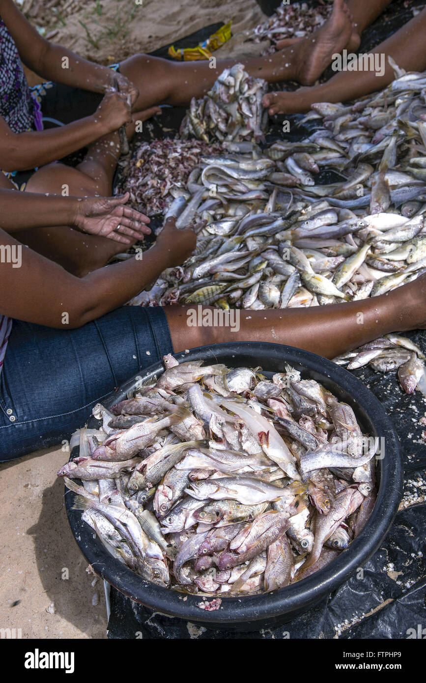 Frauen Reinigung frisch Fisch - Azeda Strand Lagune - Süd Küste des Staates Stockfoto