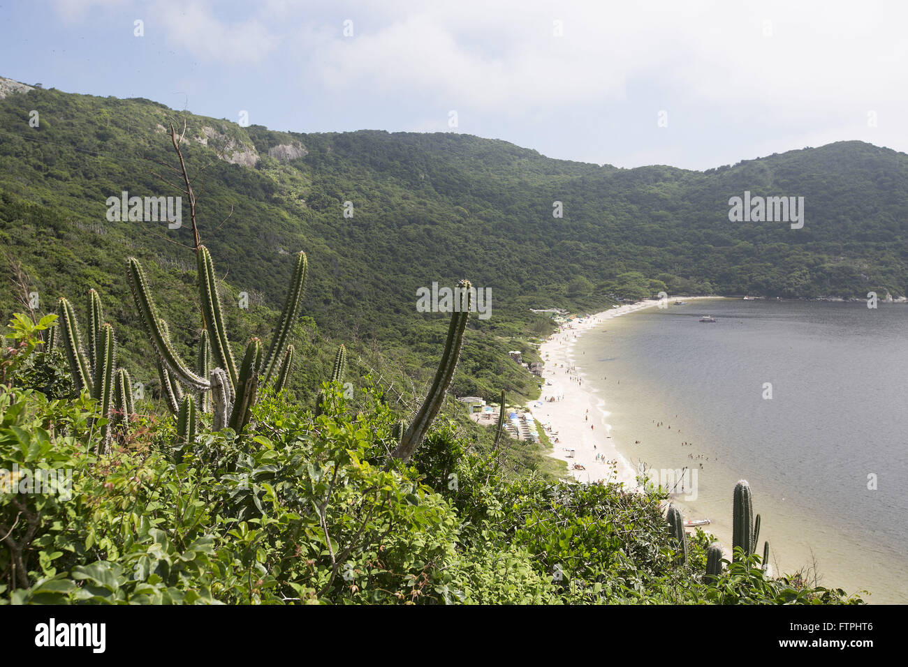 Kaktus-Hügel im Backofen Forno Beach im Hintergrund - State Park an der Costa Del Sol Stockfoto