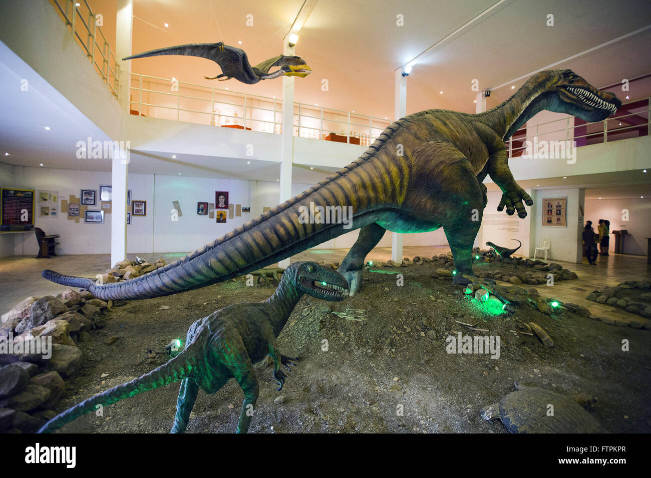 Repliken Dinosaurier ausgestellt in dem Museum von Paläontologie URCA regionale Universität von Cariri Stockfoto