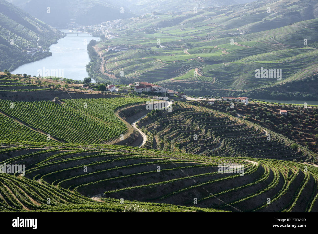 Weingut für die Weinproduktion bekannt als - Porto - im Tal des Douro Ervedosa Stockfoto
