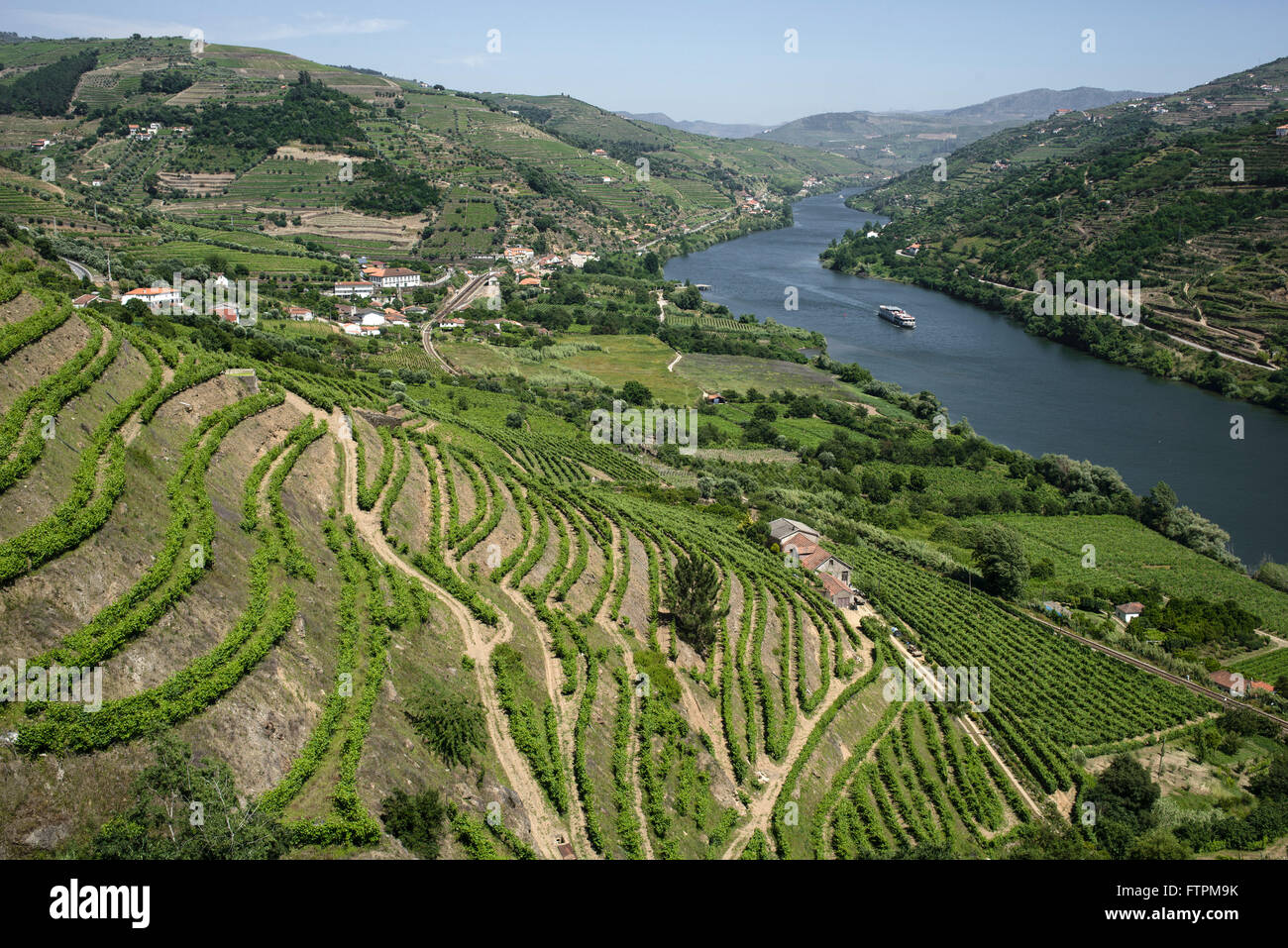 Weinberg, bekannt für die Herstellung von Portwein als den Hängen des Flusses Douro Stockfoto
