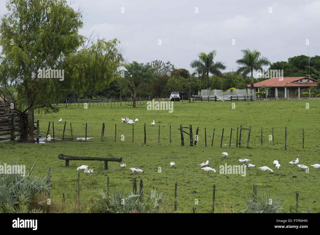 Bauernhof Rande der Route 4 Stockfoto