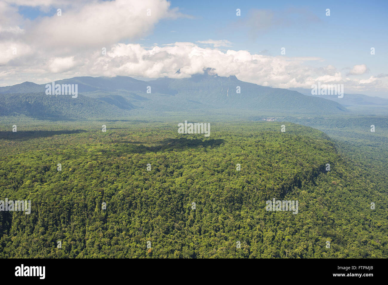 Luftaufnahme des Mount Roraima National Park Stockfoto