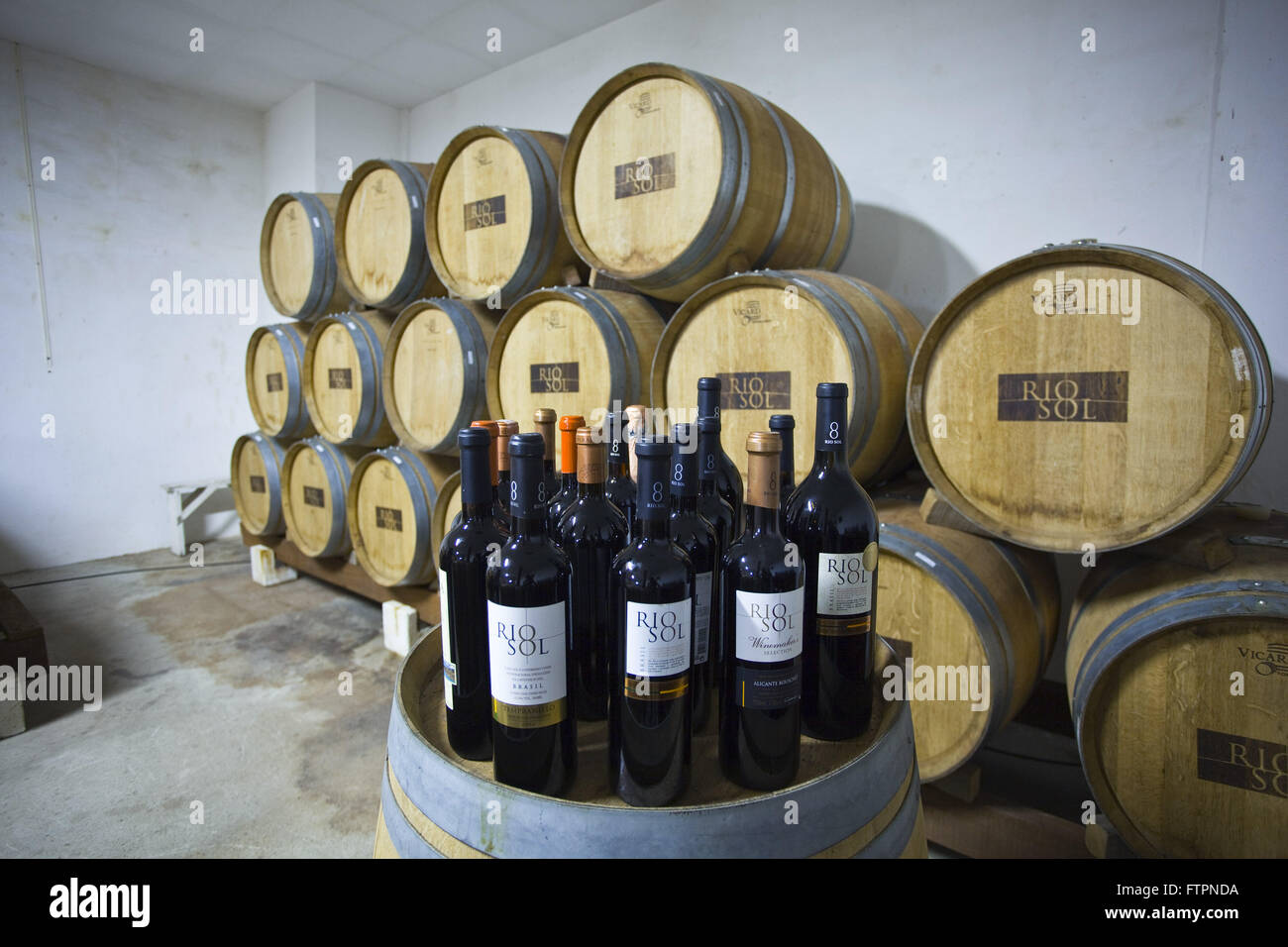 Hölzerne Fässer mit Wein aus Trauben Plantage bewässert hergestellt Stockfoto