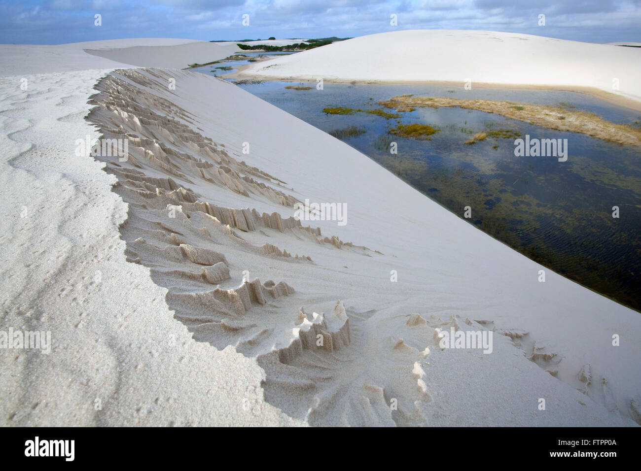 Beschäftigt Sandoberfläche durch wind Stockfoto