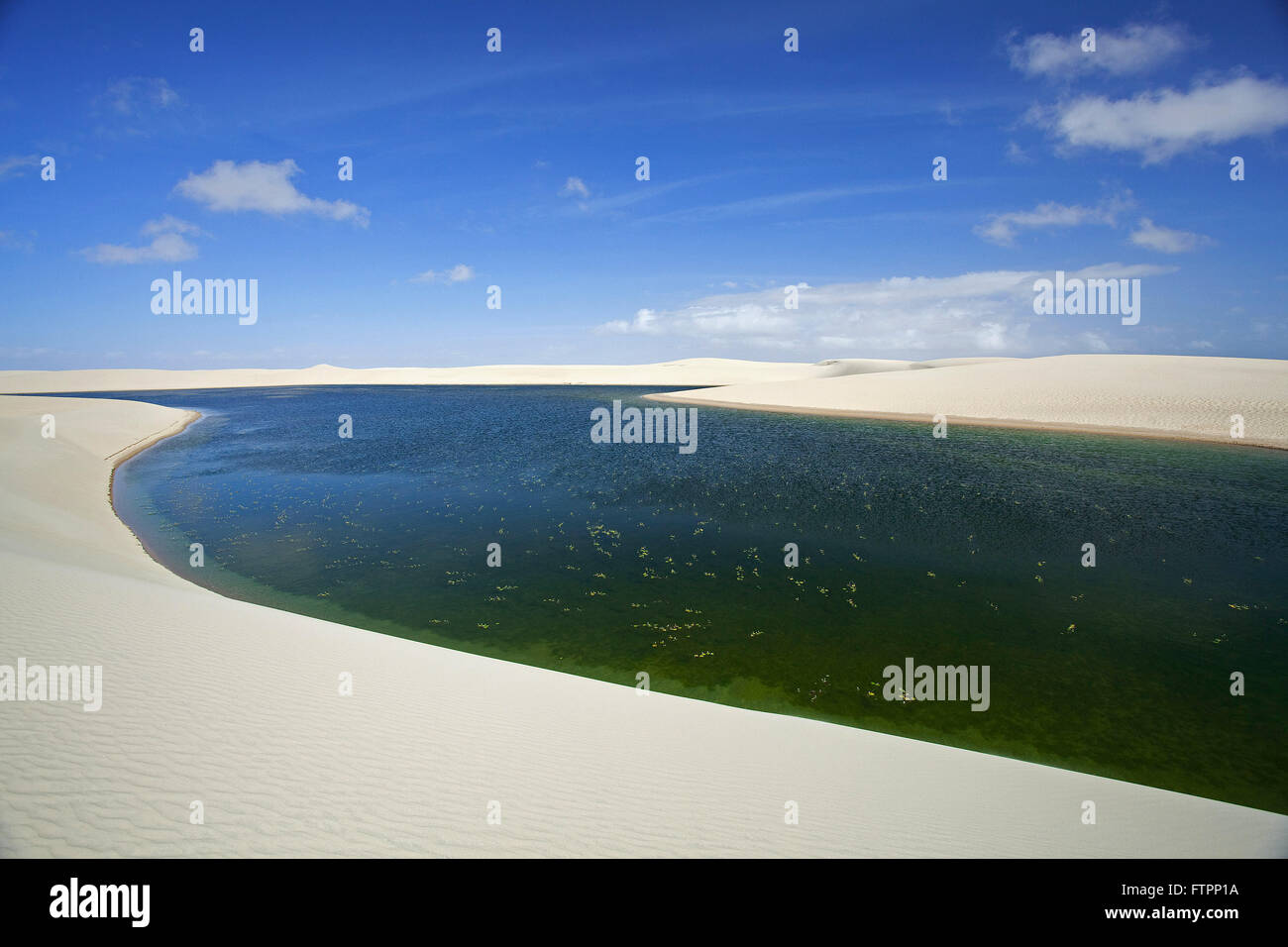 Dünenlandschaft und Teich in den Nationalpark Lencois Maranhenses Stockfoto