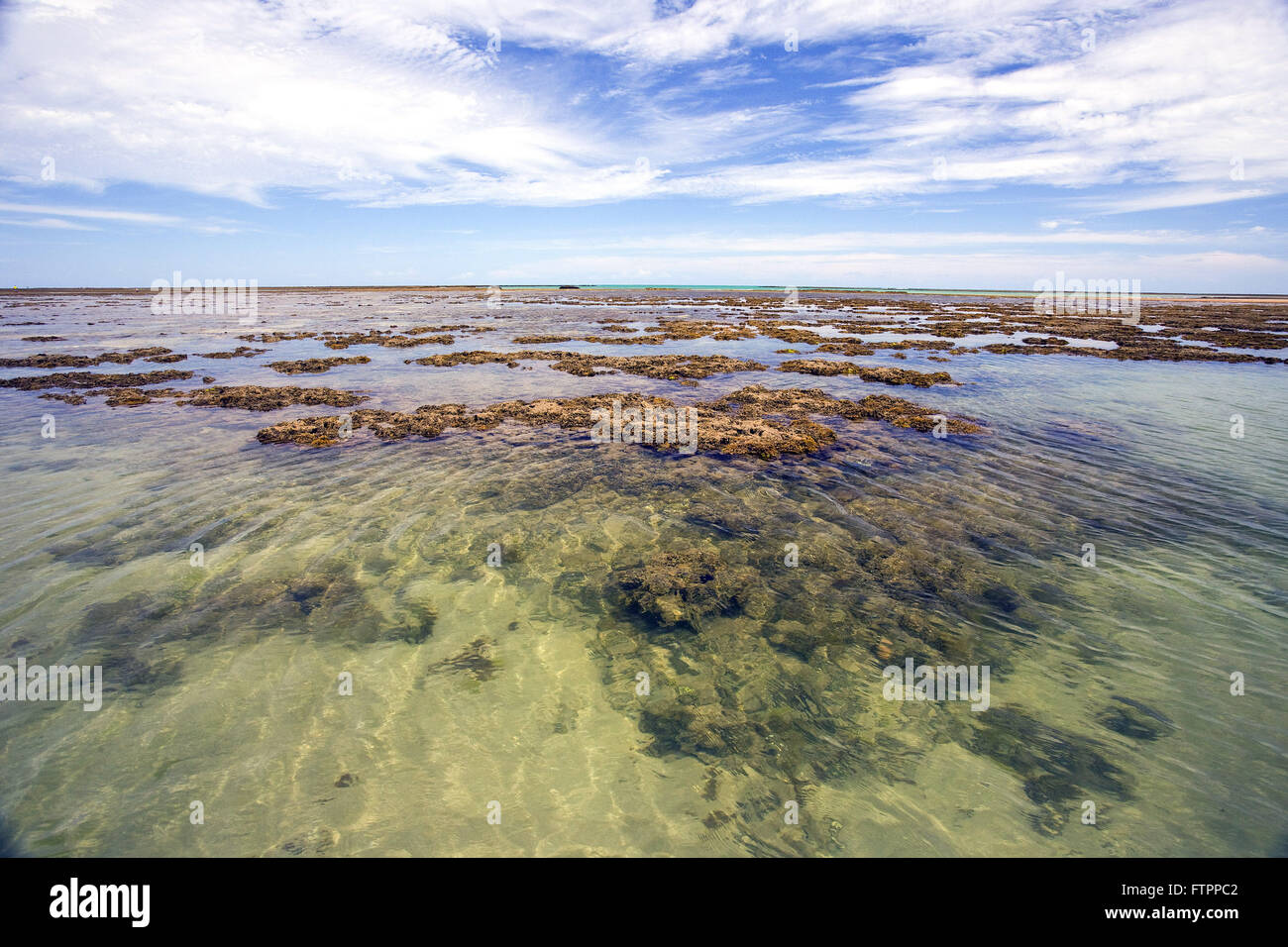 Naturpools gebildet auf den Riffen bei Ebbe Stockfoto