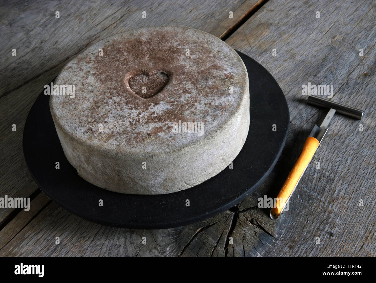 Daylesford Creamery Käser James McCall mit seinem einzigen Gloucester Käse in der hand, mit Double Gloucester Käse in Regalen Stockfoto