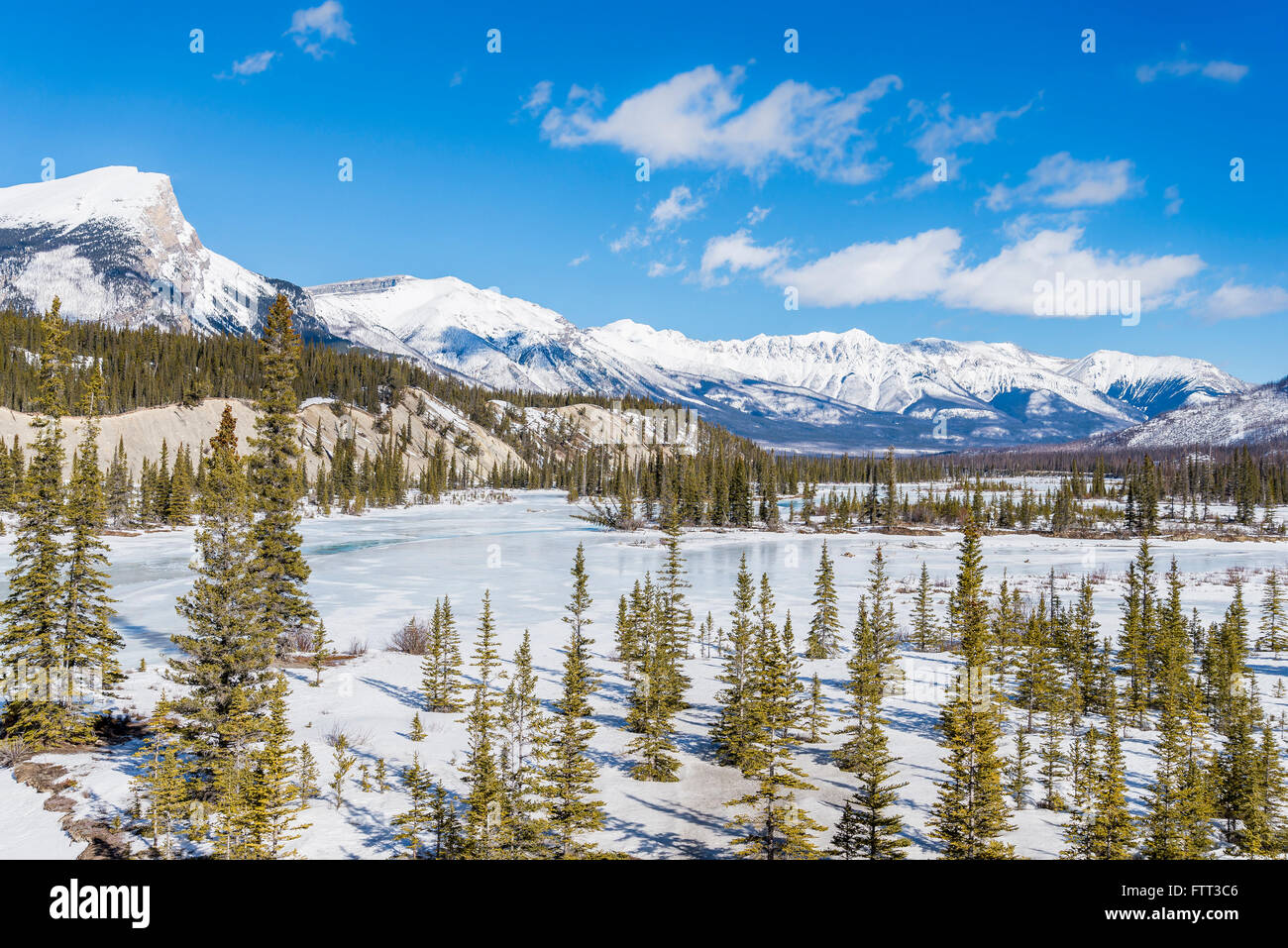 Saskatchewan Crossing, Banff Nationalpark, Alberta, Kanada Stockfoto