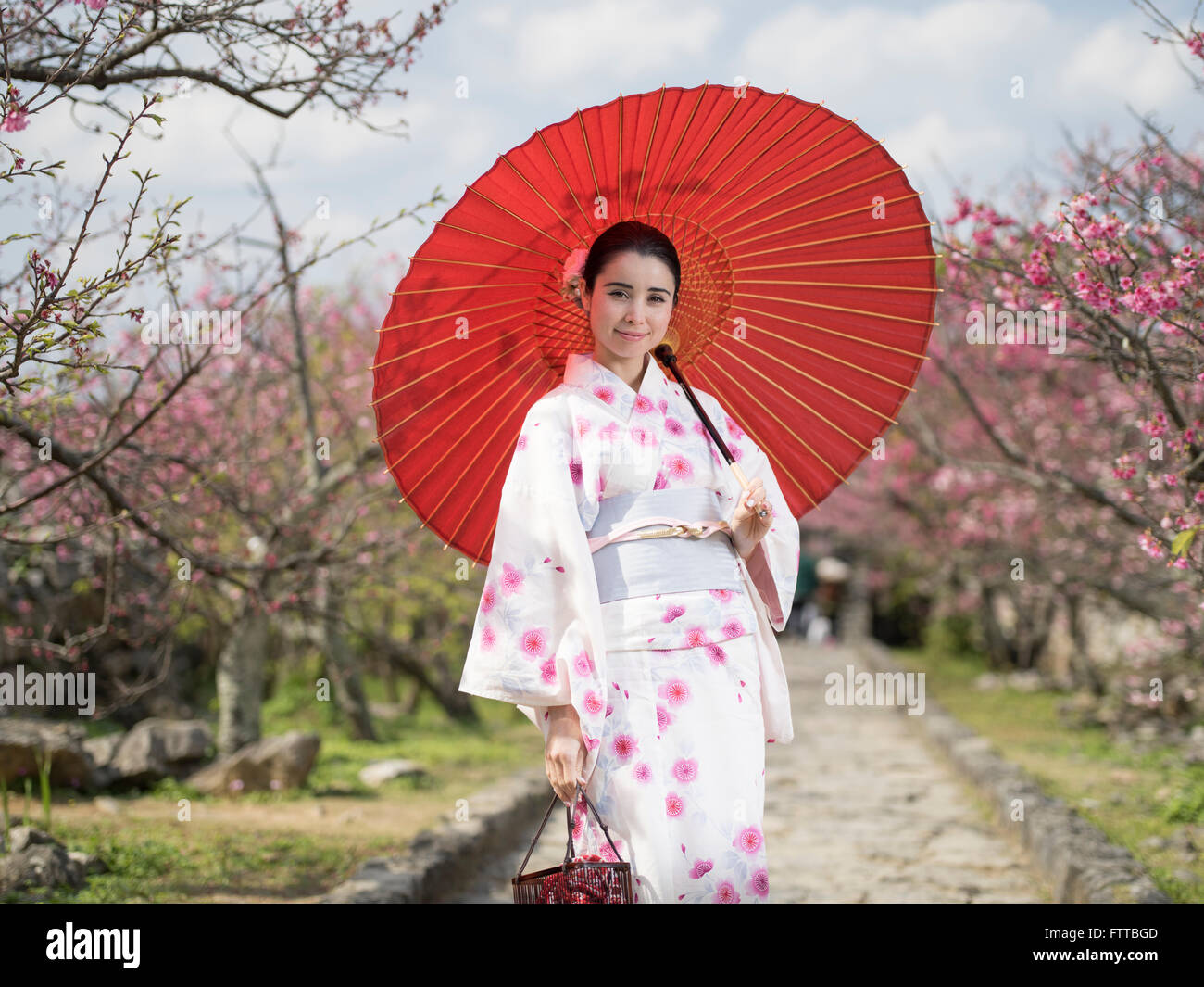 Junge (asiatische / Caucasian) Japanerin im Yukata mit Kirschblüten im Nakijin Schloss, Okinawa Stockfoto