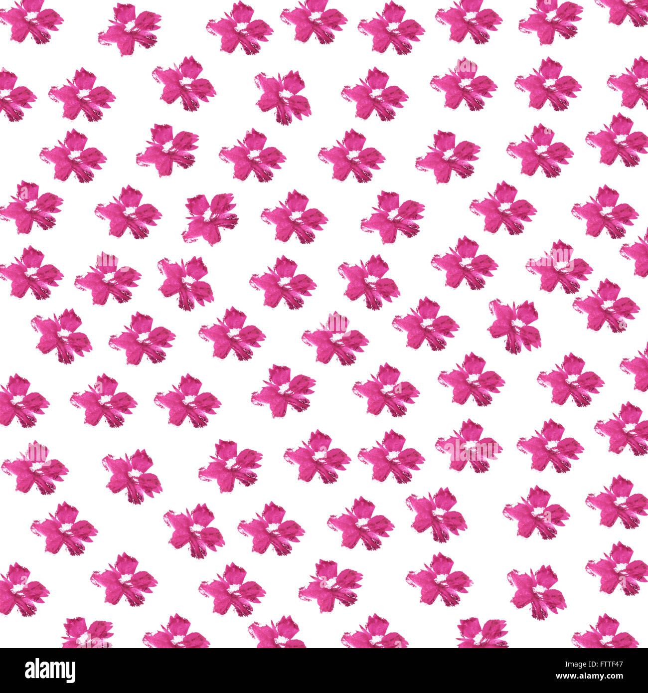Muster mit roten Aquarell Blumen auf weißem Hintergrund. Stockfoto