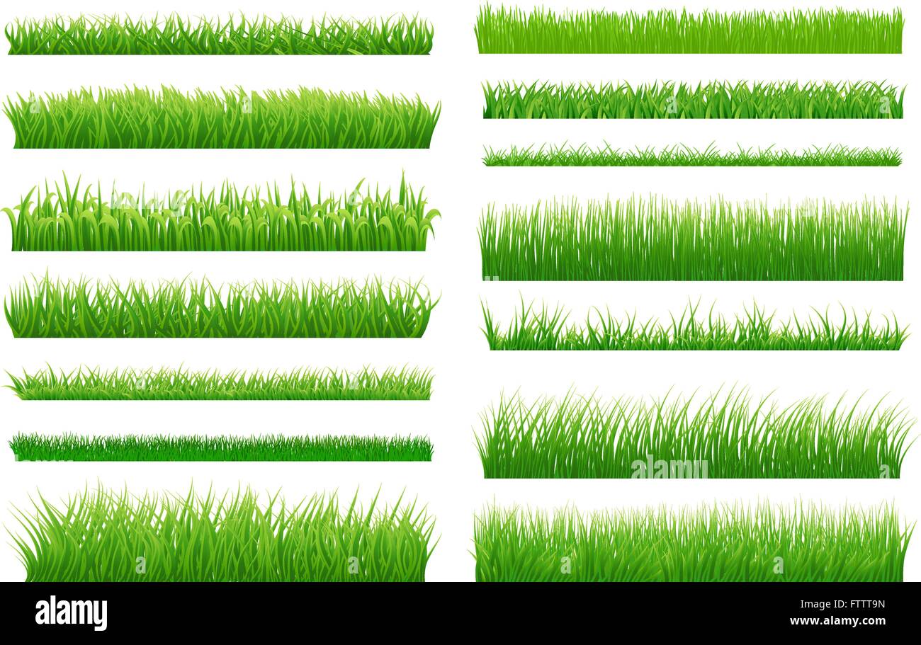 Satz von Frühjahr Grasgrün horizontalen Grenzen. Grüne Grasaufnahme auf weißem Hintergrund für Ihr Design. Design-Elemente für na Stock Vektor