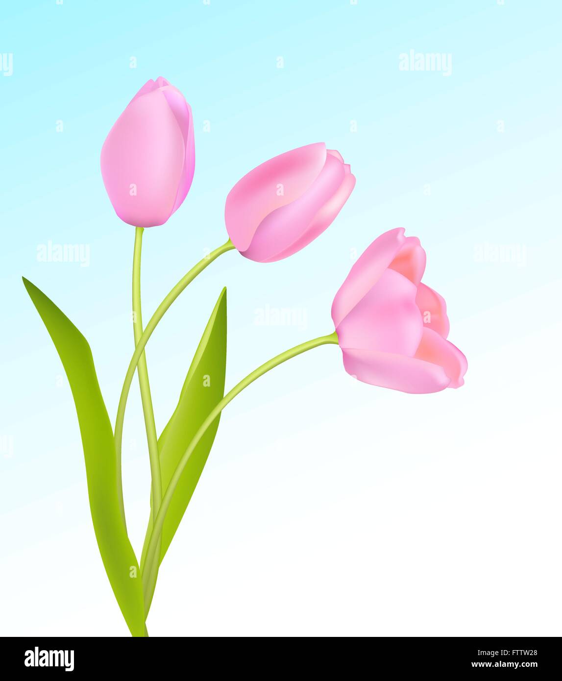 Weiche rosa Tulpen auf hellblauen Himmel Frühling Hintergrund. Vektor Stock Vektor