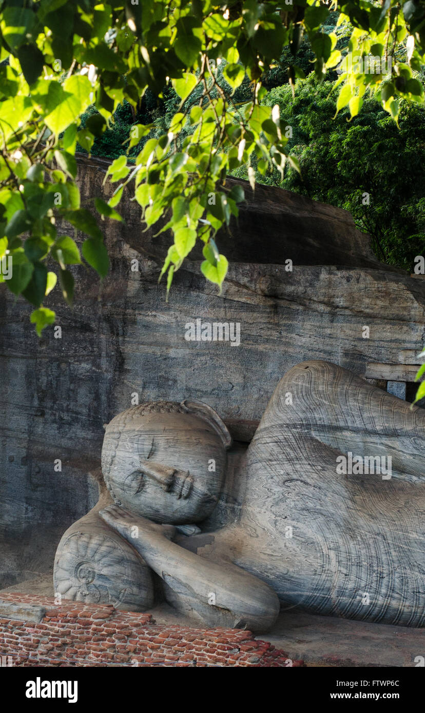 Liegender Buddha in Nirvana, Felsentempel Gal Vihara, Polonnaruwa, Sri Lanka, Asien Stockfoto