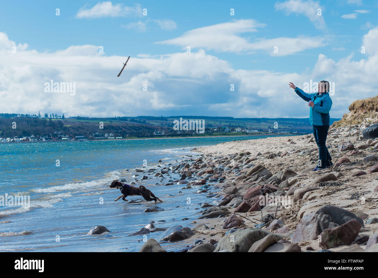 Inhaber werfen Stick für spanische Wasserhund am Strand Stockfoto