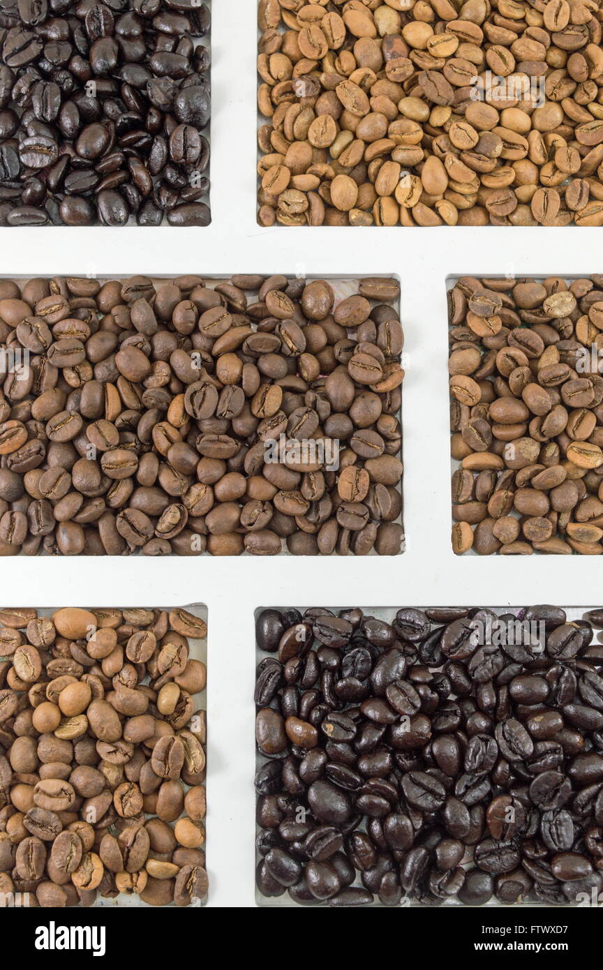 verschiedene Arten von Kaffeekörner im weißen Container Schuss flach Stockfoto