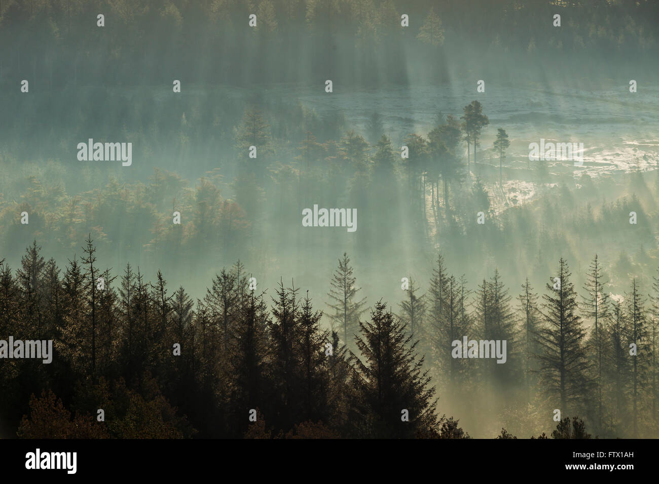Frühling Morgendämmerung in Dartmoor, Devon, England. Ein Blick vom Sharpitor. Stockfoto