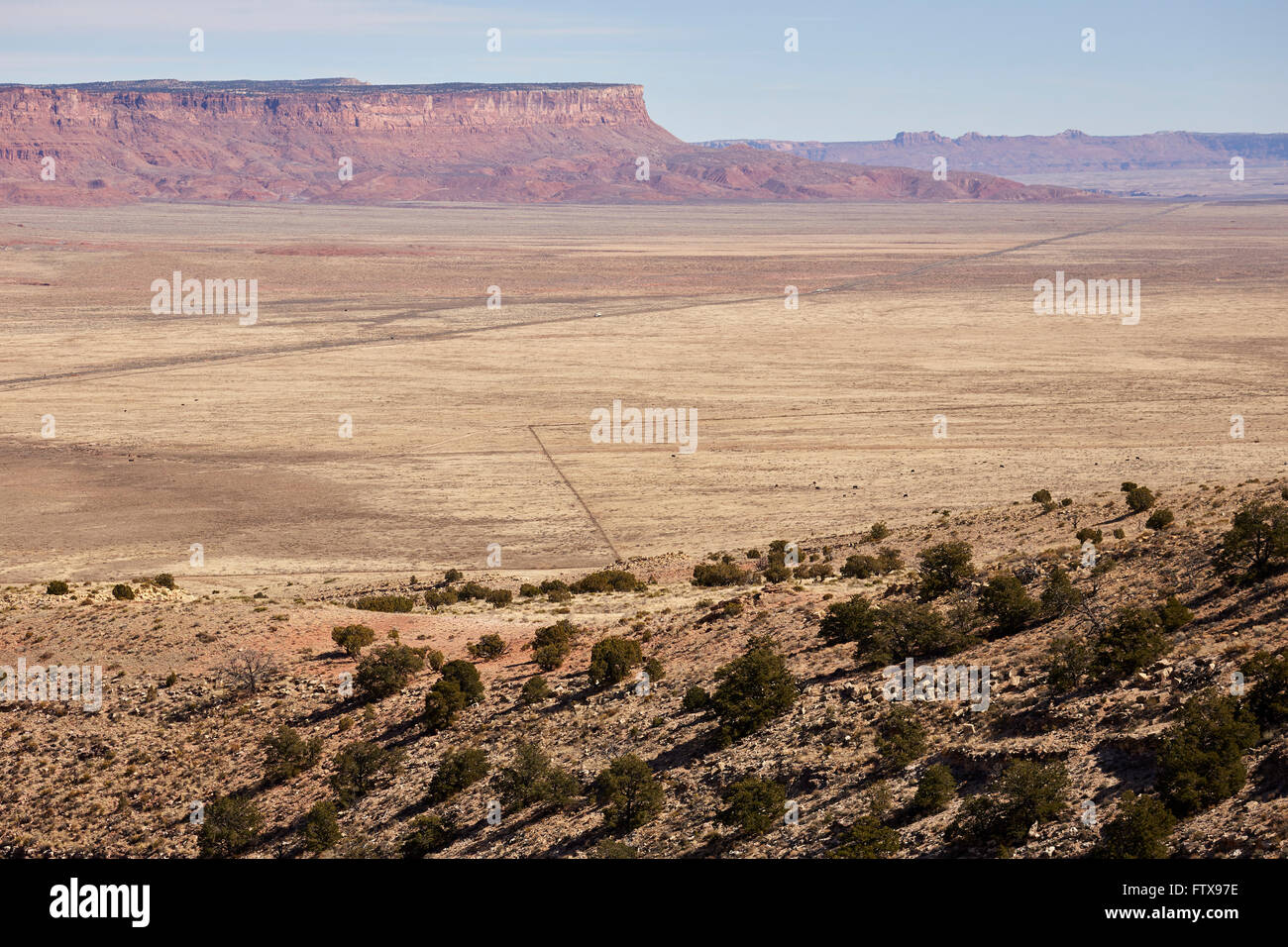 Weideland in der Nähe von Page, Arizona, USA Stockfoto