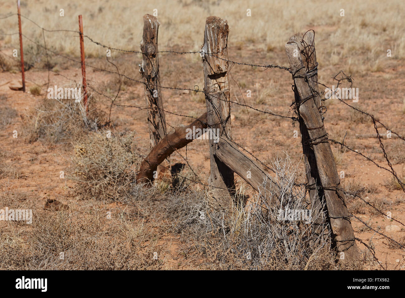 Holz und Stacheldraht Zaun, Arizona, USA Stockfoto