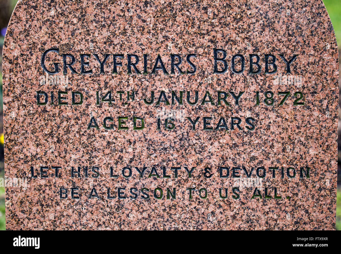 EDINBURGH, Schottland - 9. März 2016: Eine Nahaufnahme des Grabes von Greyfriars Bobby Greyfriars Friedhof in Edinburgh, auf 9. Ma Stockfoto