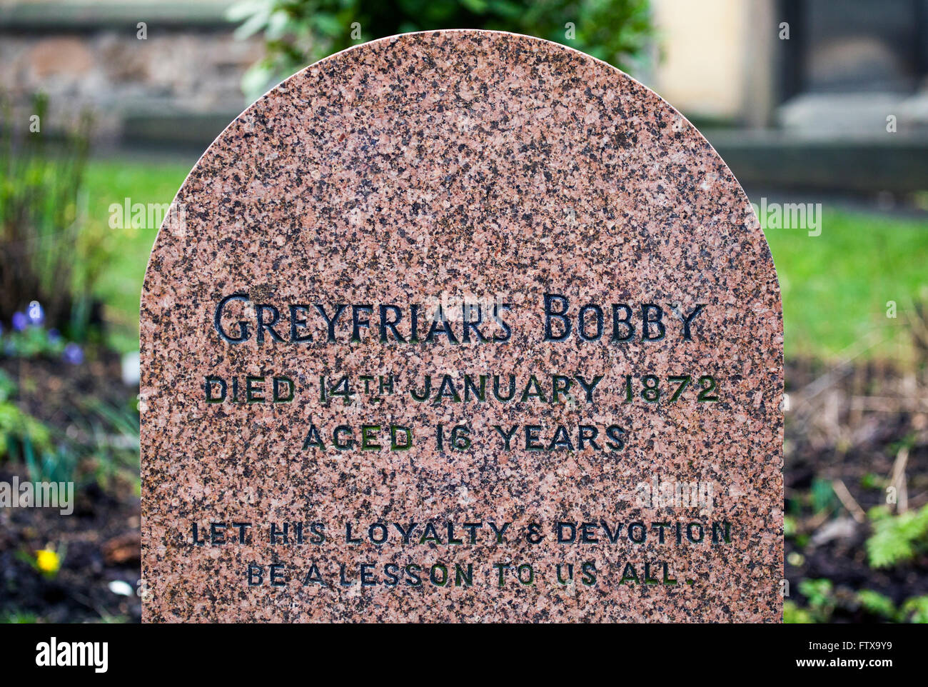 EDINBURGH, Schottland - 9. März 2016: Eine Nahaufnahme des Grabes von Greyfriars Bobby Greyfriars Friedhof in Edinburgh, auf 9. Ma Stockfoto