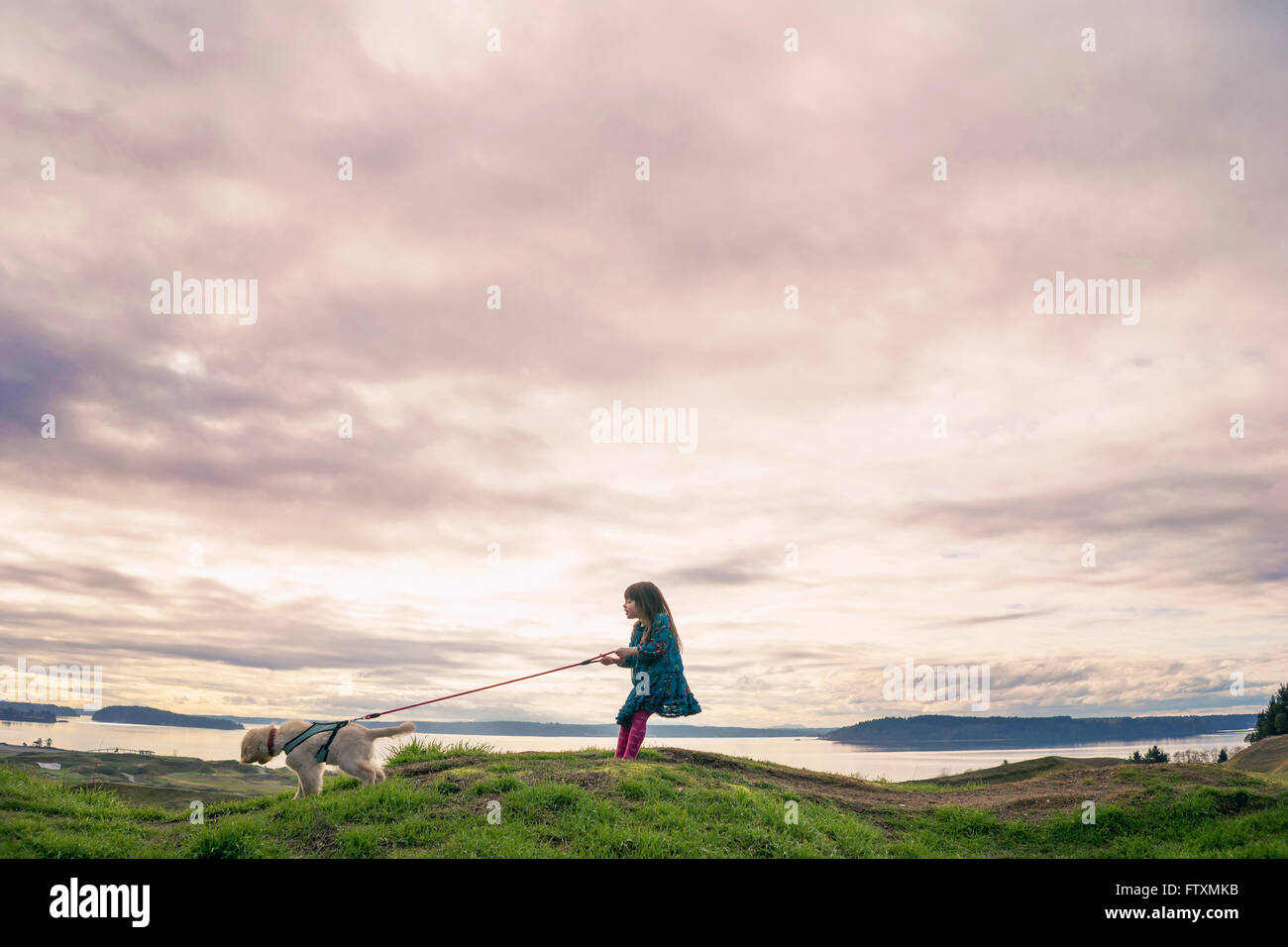 Junges Mädchen zu Fuß golden Retriever Welpe Hund Stockfoto