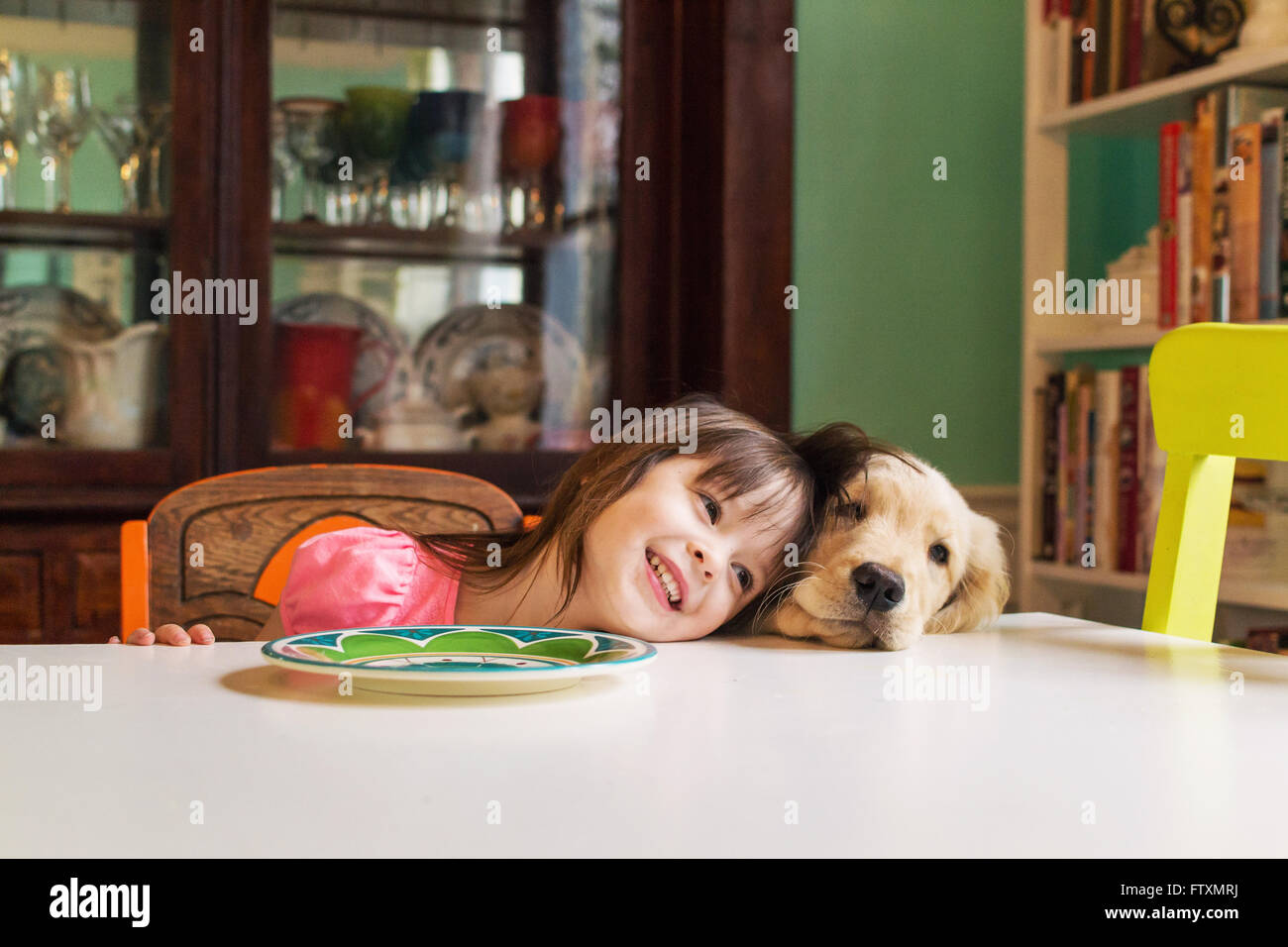Hund am Tisch sitzen Stockfotografie Alamy Hund am Tisch sitzen Stockfotografie Alamy