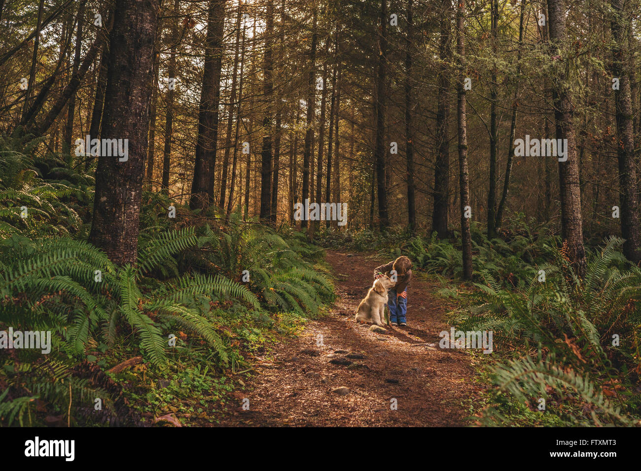 Junge streicheln golden Retriever Welpe Hund im Wald Stockfoto