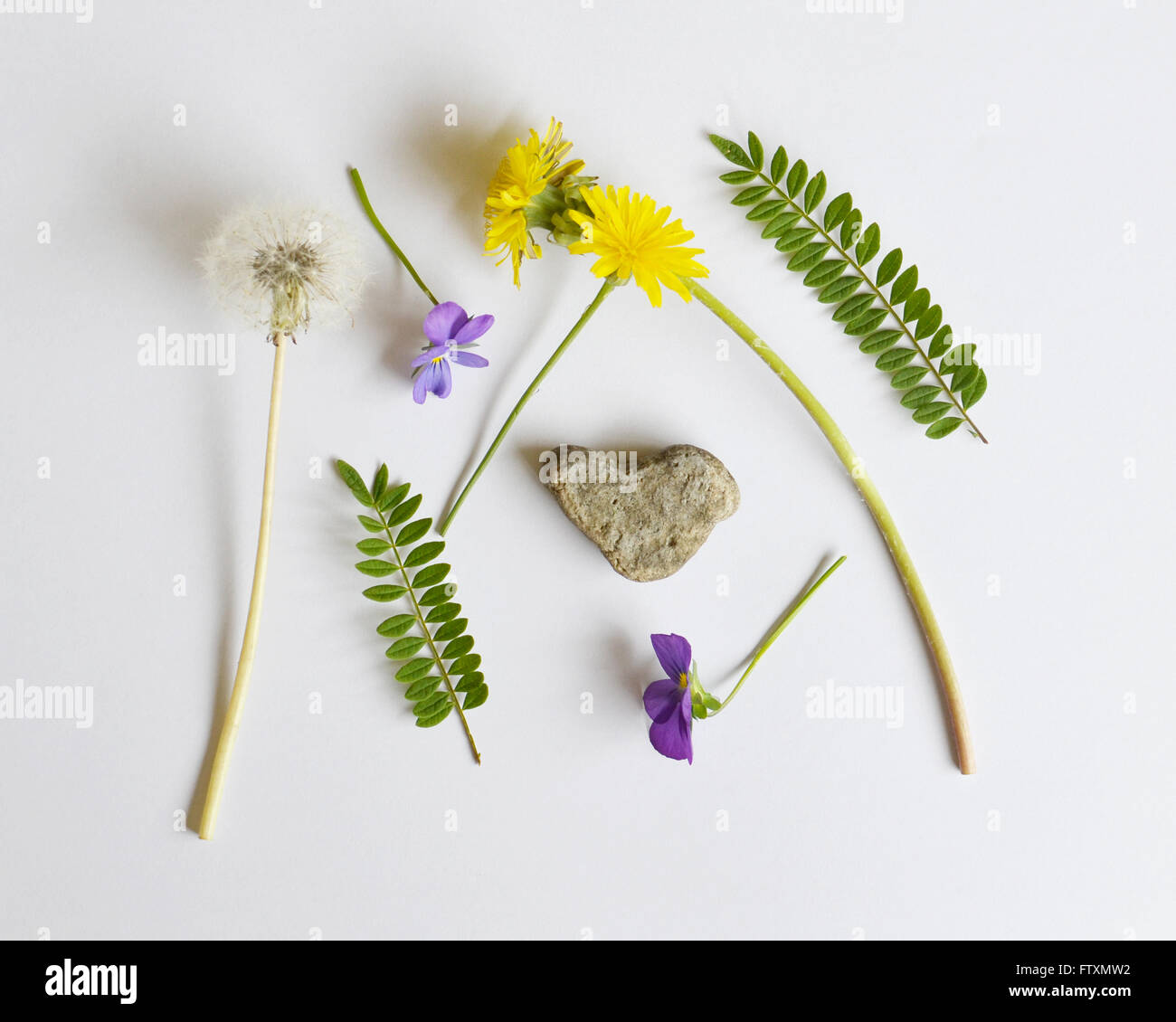 Sammlung von Wildblumen, Farne und Herz geformten Felsen Stockfoto