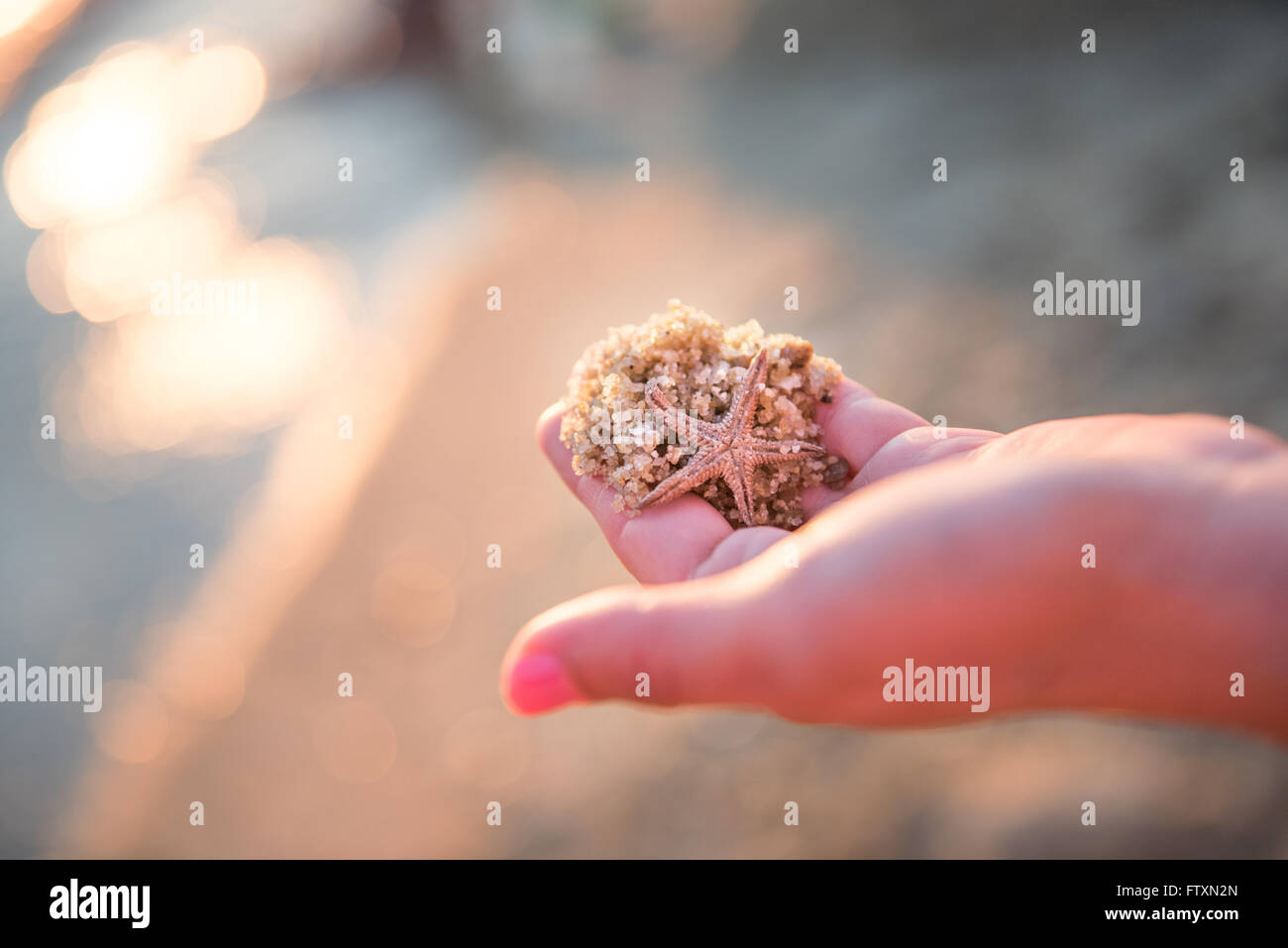 Zarte Frauenhand holding Handvoll Sand und Miniatur Seestern, Griechenland Stockfoto