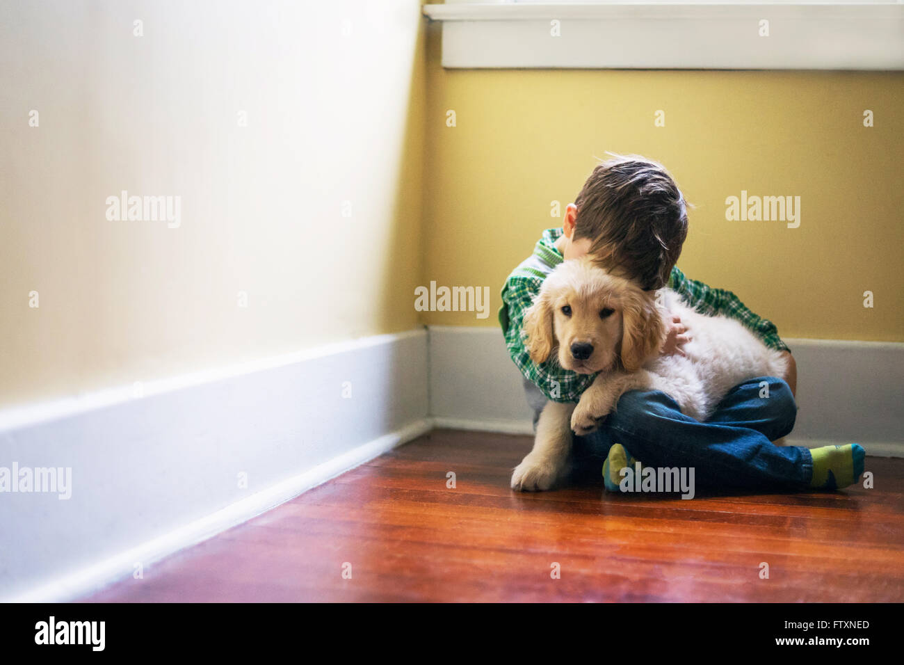 Junge sitzt auf Boden, umarmt golden Retriever Welpe Hund Stockfoto