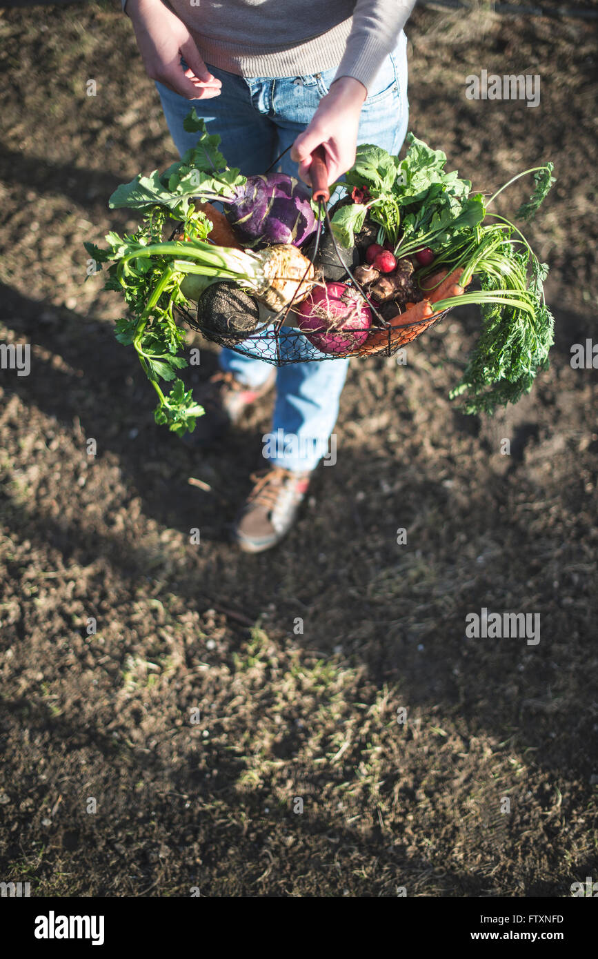 Frau mit Korb mit frischem Gemüse Stockfoto