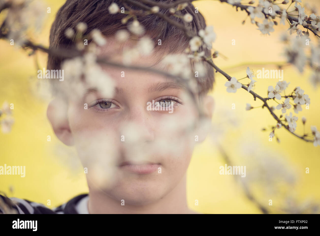 Bildnis eines Knaben hinter einer Kirschblüte Zweig Stockfoto