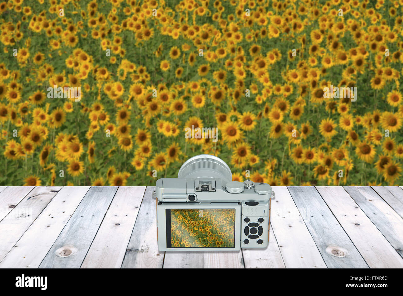 Kamera mit Bildschirm auf Holztisch mit schönen Landschaft im Hintergrund anzeigen Stockfoto
