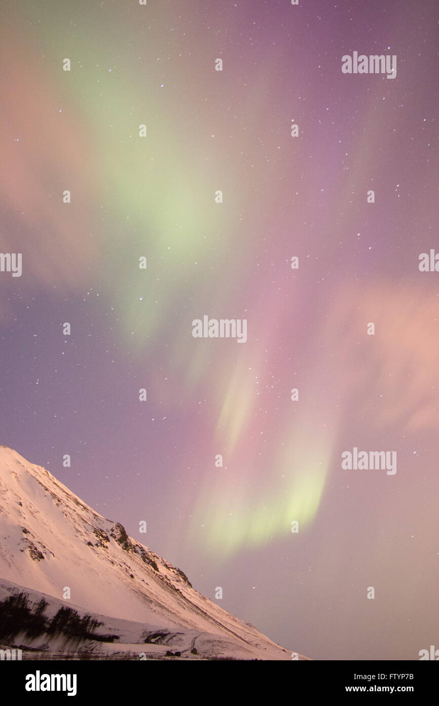 Nordlicht in Island März 2016 Stockfoto