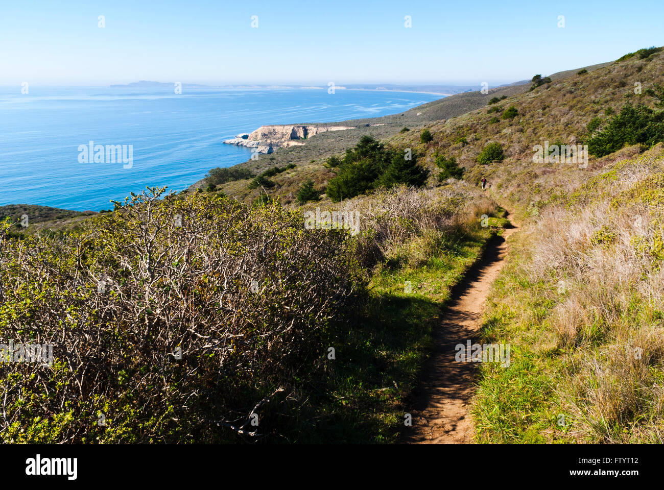 Coast Trail, Point Reyes National Seashore, Kalifornien, USA. Stockfoto