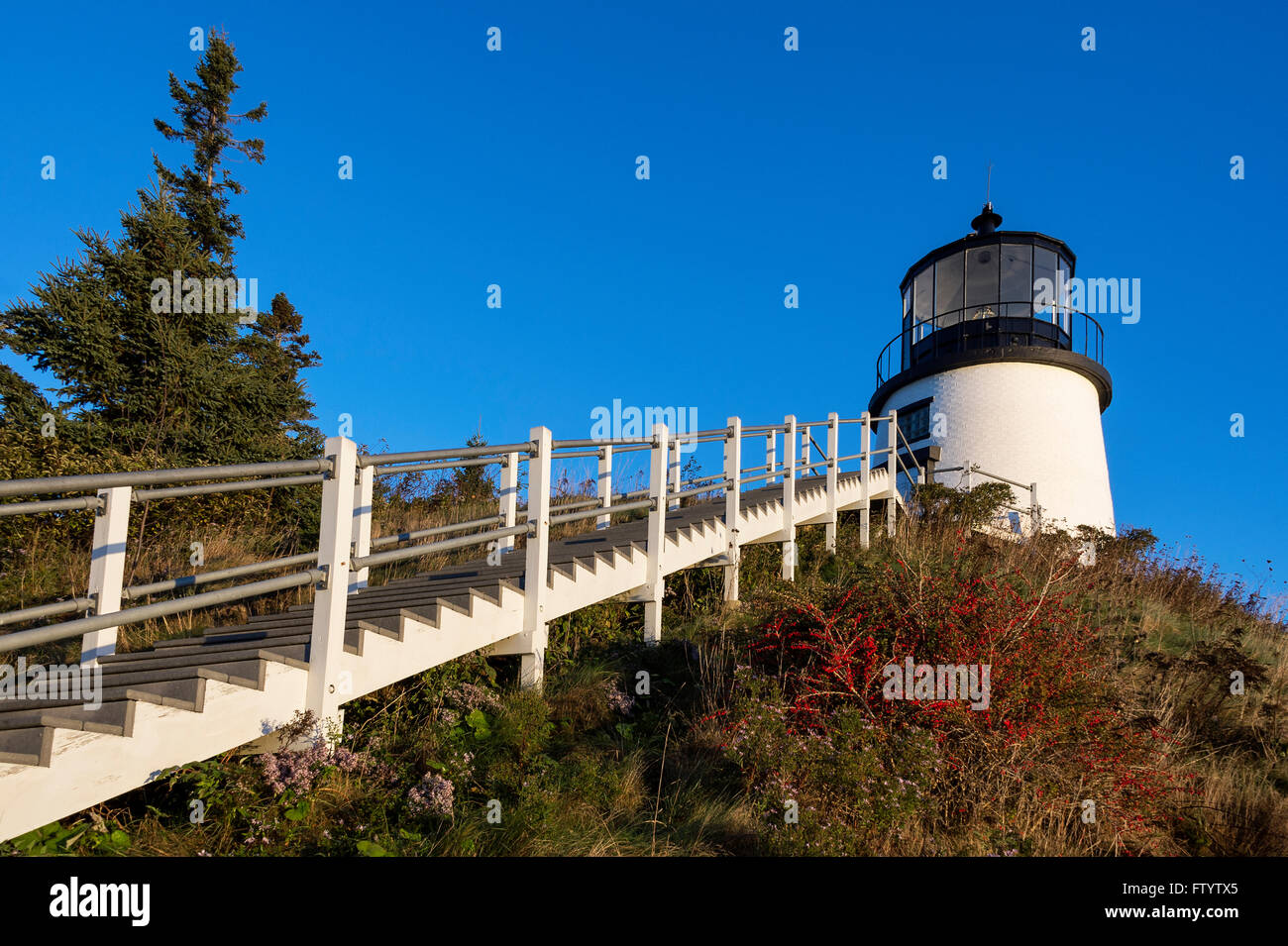 Eulen Kopf Leuchtturm, Maine, USA Stockfoto