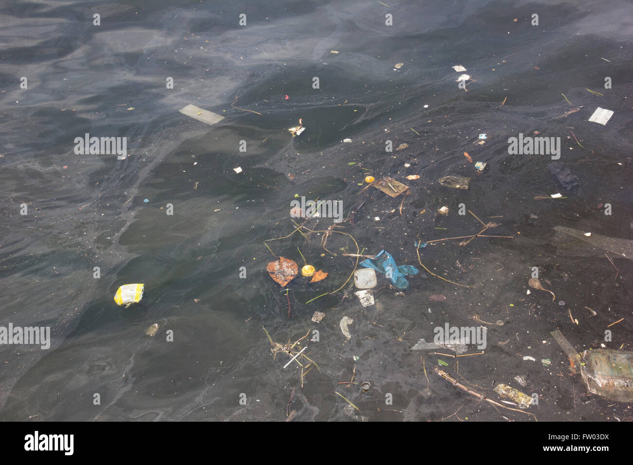 Rio De Janeiro, Brasilien. 30. März 2016. Fehlt etwa vier Monate für die 2016 Olympischen Spiele und der Grad der Umweltverschmutzung in der Guanabara-Bucht ist weiterhin kritisch. Die Website wird für Segel-Wettbewerbe verwendet werden. Dieses Bild, aufgenommen am Nachmittag des Mittwoch, ist eine gemeinsame Szene in der Nähe von Museum of Tomorrow, die durch den fauligen Gewässern der Guanabara-Bucht gebadet wird. © Luiz Souza/Alamy Live-Nachrichten Stockfoto