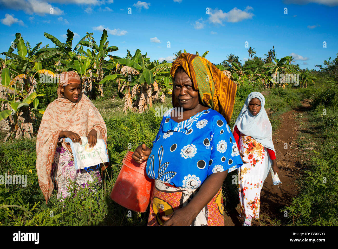 Bäuerinnen in Kizimkazi Dimbani Dorf, Westküste, Sansibar, Tansania. Stockfoto