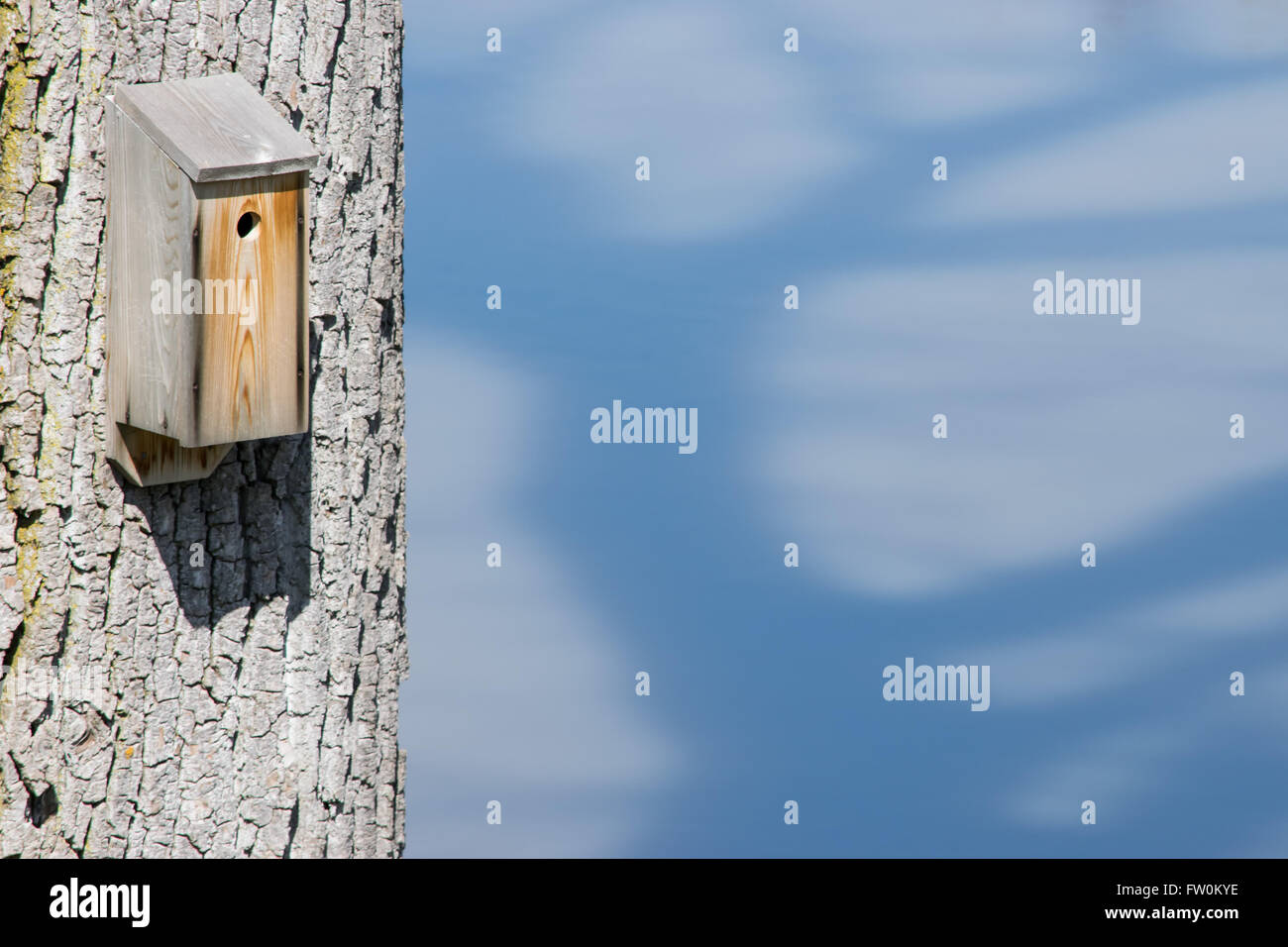 Vogel-Kasten, nisten an einen Baumstamm genagelt. Stockfoto