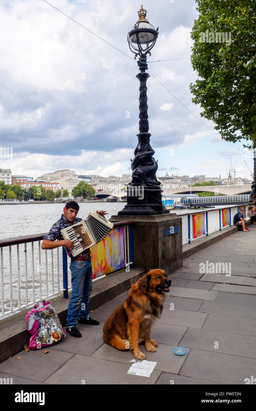 Musiker, spielt Akkordeon - London, England Stockfoto