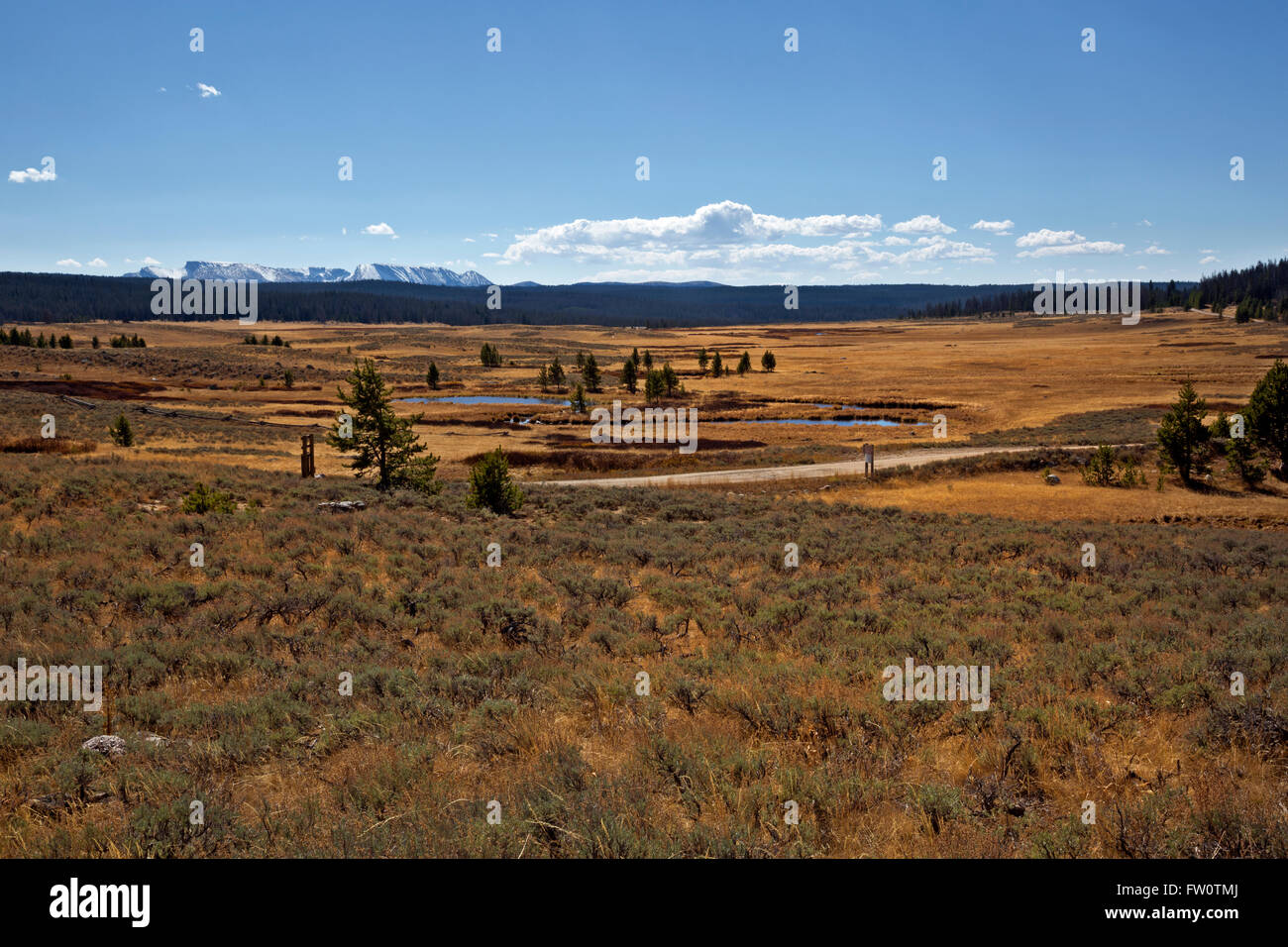 WY01422-00... WYOMING - offenen hohe Prärie Land südlich von 9.212-Fuß Union Pass in den Bridger-Teton National Forest. Stockfoto