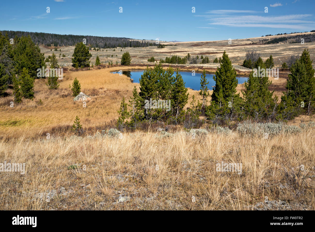 WYOMING - Blick Richtung Norden über eines der vielen kleinen Teiche in der Nähe von 9.212-Fuß Union Pass befindet sich auf der kontinentalen Wasserscheide. Stockfoto