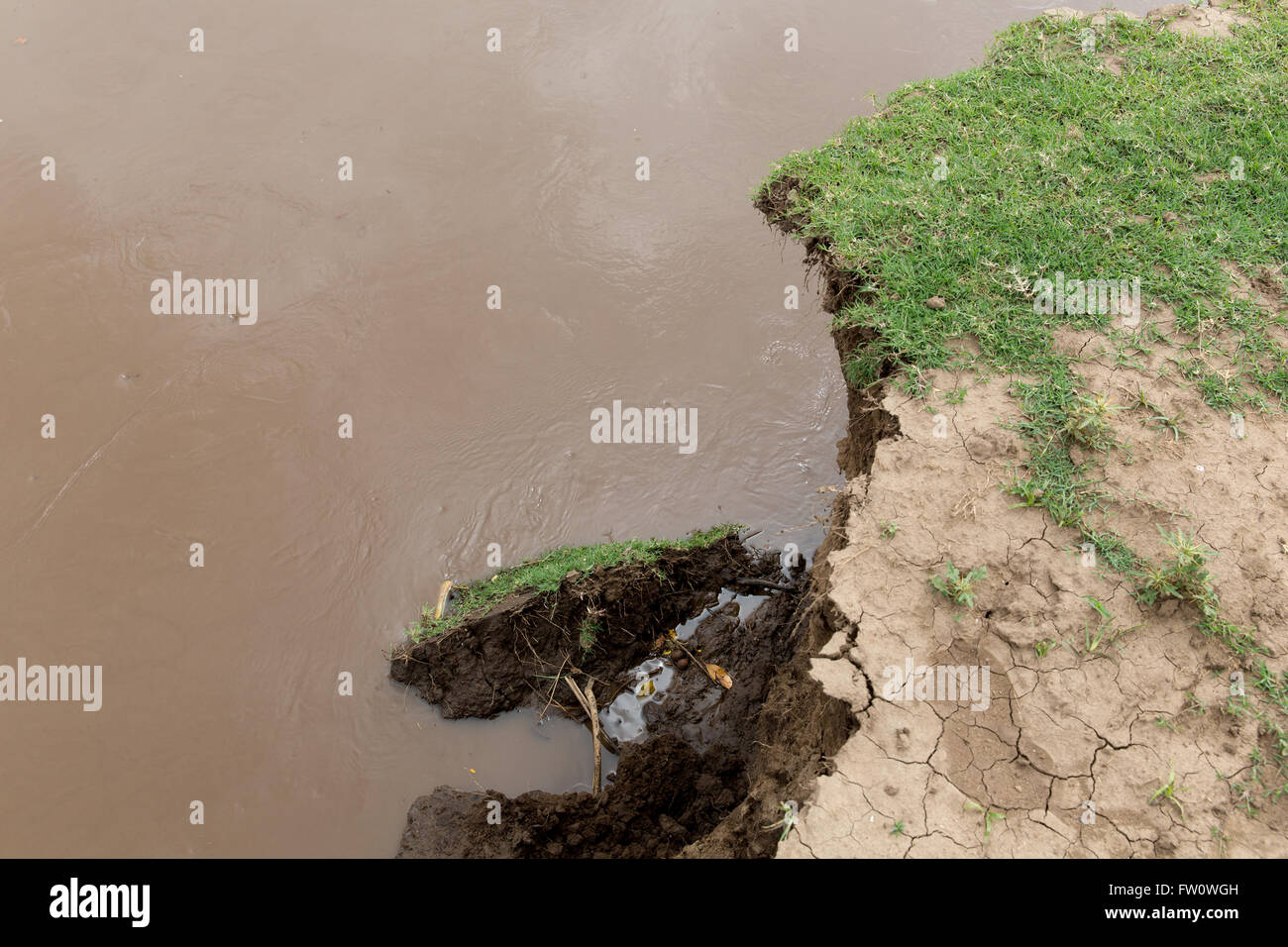 Meki River Delta, Äthiopien, Oktober 2013 Flusserosion aufgrund schlechter Watershed Management stromaufwärts. Stockfoto