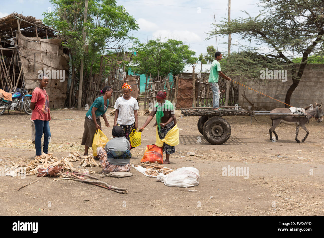 Meki Stadt Markt, Äthiopien, Oktober 2013: Frauen kleine bündeln von Brennholz auf dem Markt zu kaufen. Stockfoto