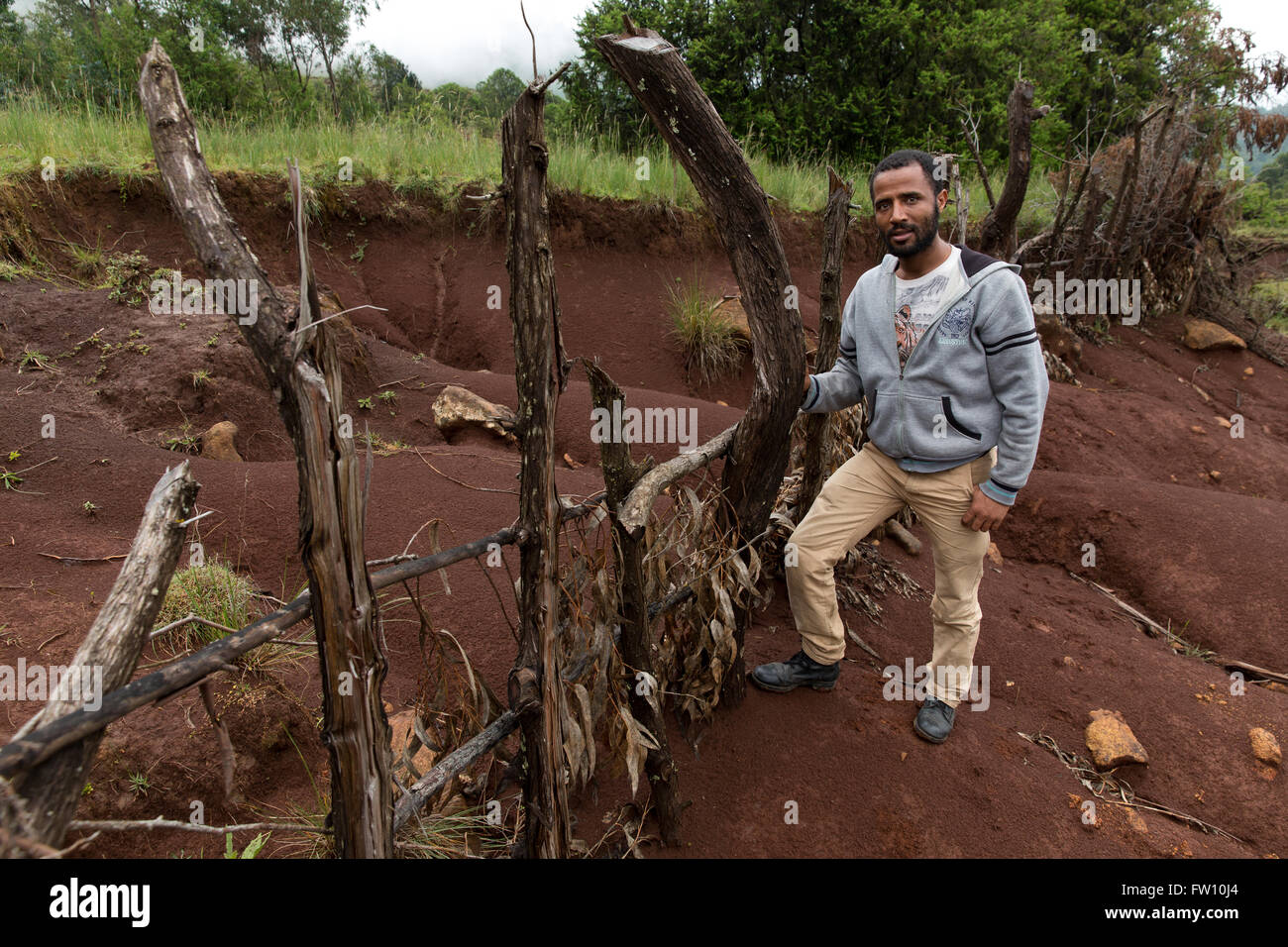 Gurage, Äthiopien, Oktober 2013 starke Erosion durch schlechte Landmanagement unvollständige neue Weg in der Gegend. Stockfoto