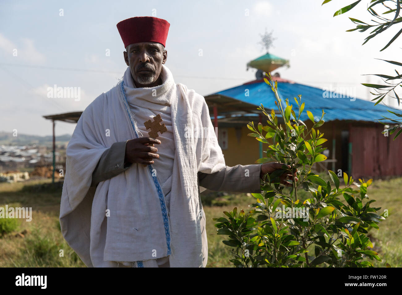 Debre Birhan, Amhara in Äthiopien, Oktober 2013 Kesise Kassu Asvat, 49, koptischen Priester in der Egizarab Kirche mit Acacia Melamox. EWNHS hat hier viele Sämlinge gepflanzt. Stockfoto