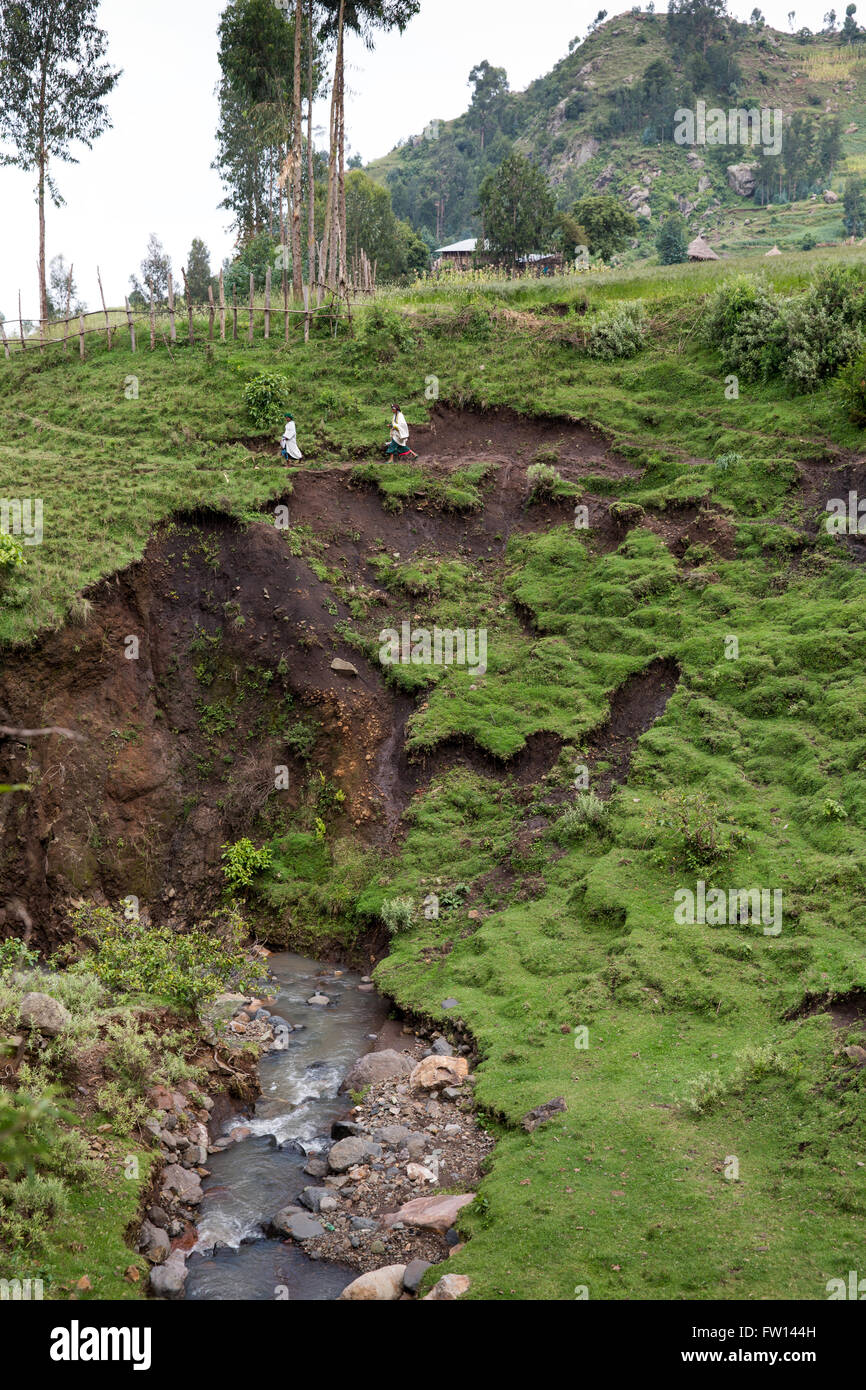 Wofwasha Kebele, Nord-Shewa, Äthiopien, Oktober 2013: Ein Dorf Pfad durch einen lokalen Strom erodiert. Stockfoto